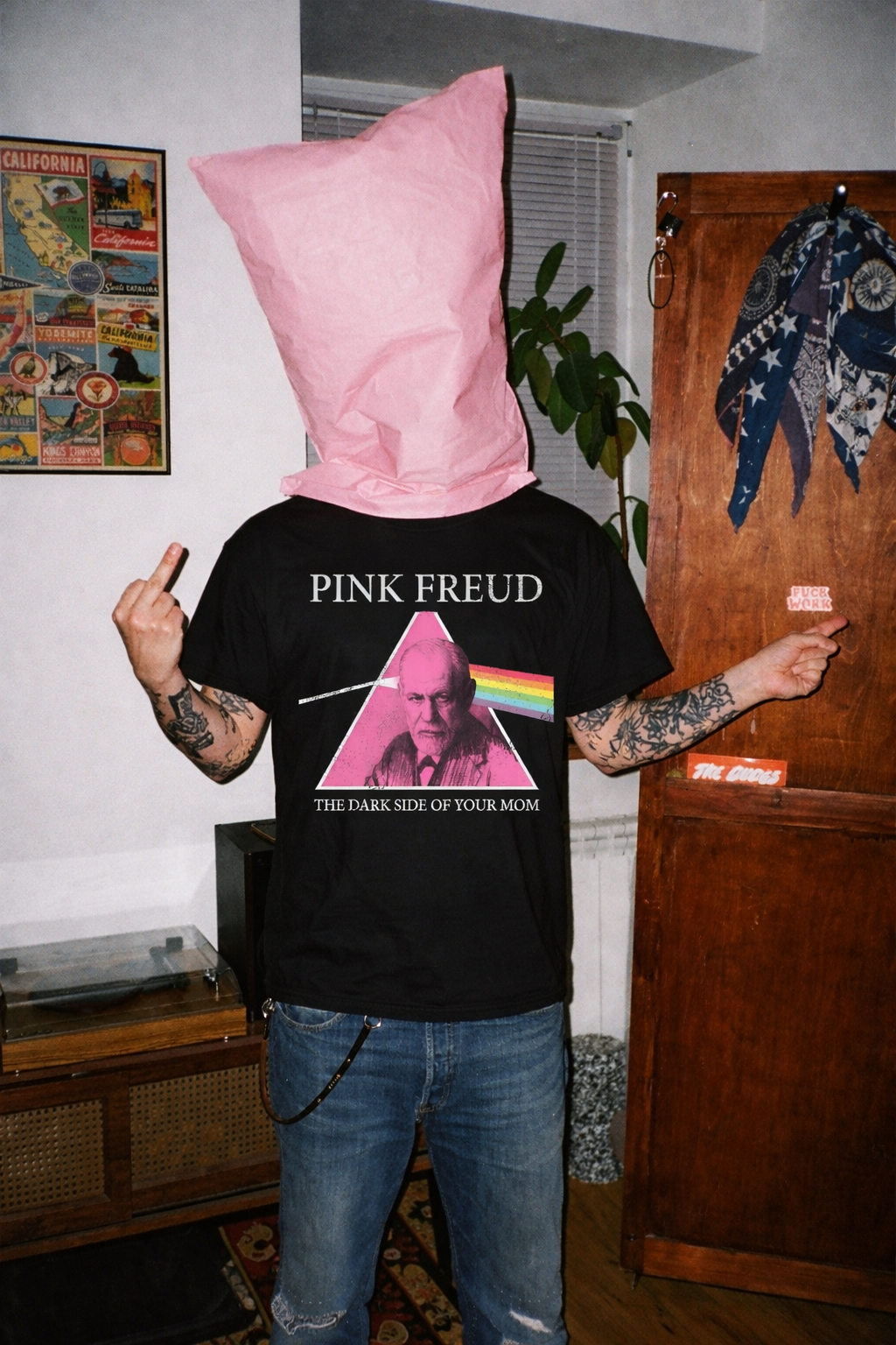 PINK FREUD